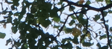 Samsung 16-50mm 1:3.5-5.6 ED OIS Power Zoom