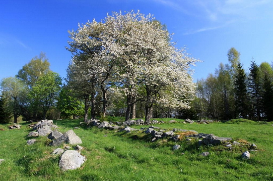 Oehling Akademie: workshop Jarní Šumava od 11. května