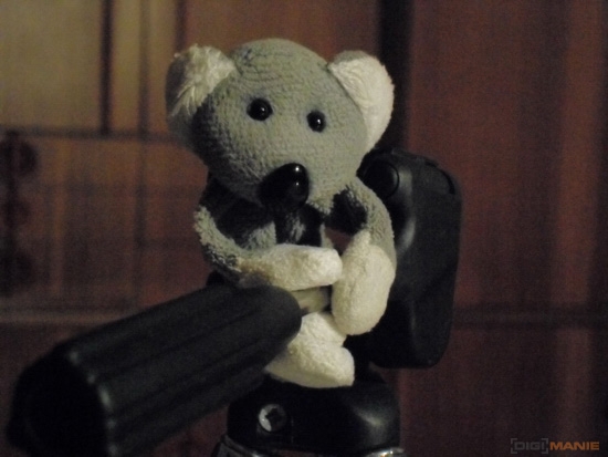 Fotíme s Koalou: Rozlišení a megapixely!