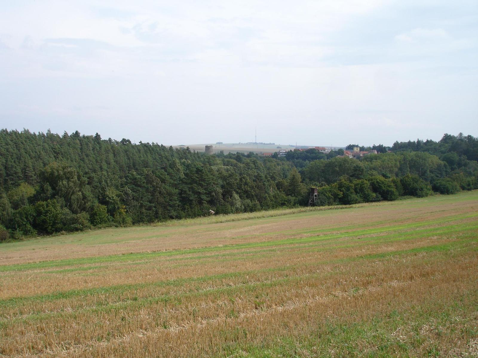 Sony Cyber-shot DSC-P200: Půlkruhová sedmička