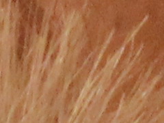 Canon EOS 600D: pokračování rodové linie