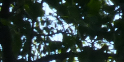 Panasonic Lumix TZ30: pokračovatel slavného rodu?