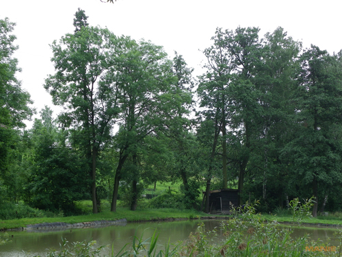 Pentax X70: neobyčejně univerzální kliďas