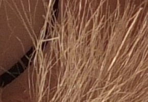 Fujifilm X-S1: jedinečný