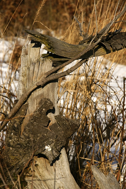 Zrcadlovka a já: Neposlušné příslušenství