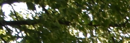 Tamron SP AF 10-24mm F3.5-4.5 Di II LD Aspherical IF