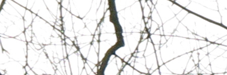 Canon PowerShot G1 X Mark II: významné zlepšení