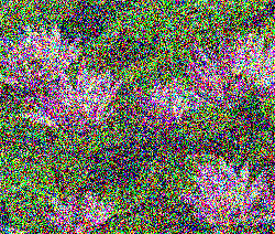 Struktura šumu tvoří jedinečný "otisk prstu" digitálu