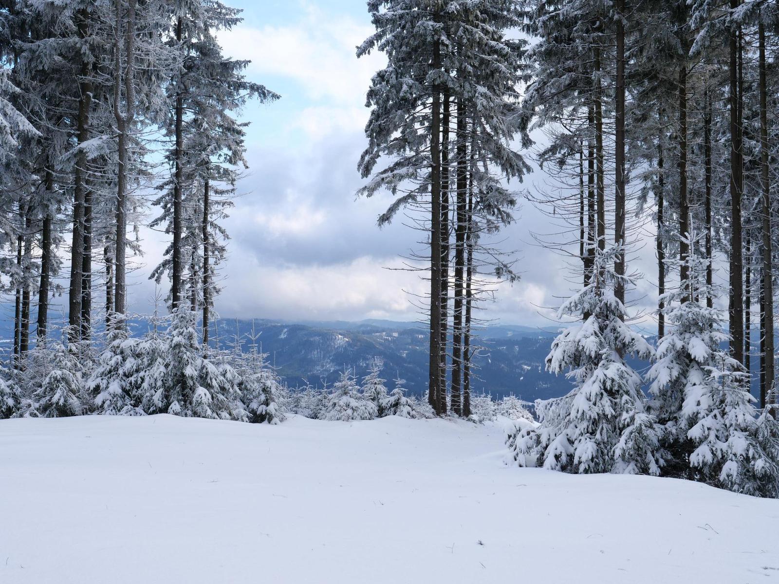 Panasonic Lumix G9: skutečně výborný