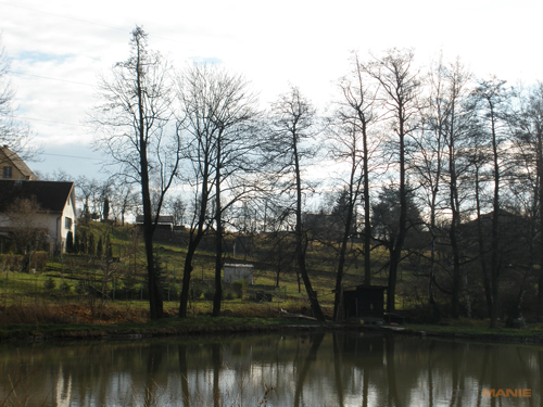 Olympus FE-370: stabilní zoom za hubičku