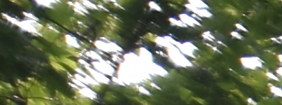 Tamron 16-300mm f/3.5-6.3 Di II VC PZD Macro