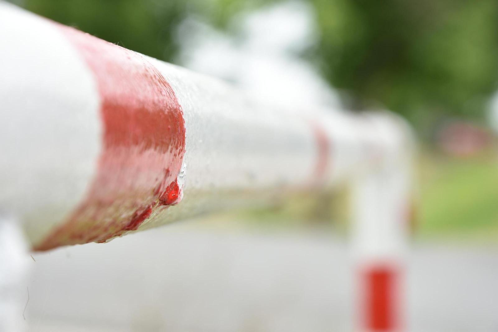 Nikon D7200: přesvědčivé zrcadlo