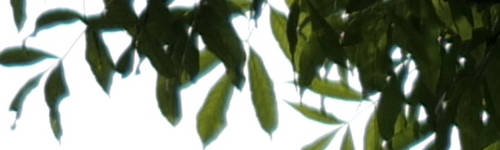 Panasonic Lumix S Pro 70-200mm F4 O.I.S.