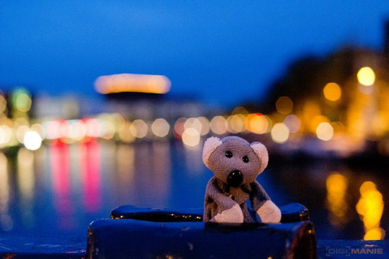 Koala cestuje: Eindhoven a Amsterdam v Holandsku