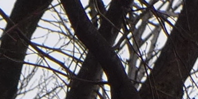 Panasonic Lumix LX7: kompaktní hvězda noci