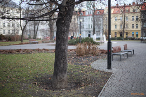 Srovnávací test pevných 50mm objektivů