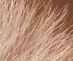 Nikon Coolpix S3000: kapesní trpaslík