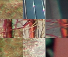 Megatest ultrazoomových objektivů