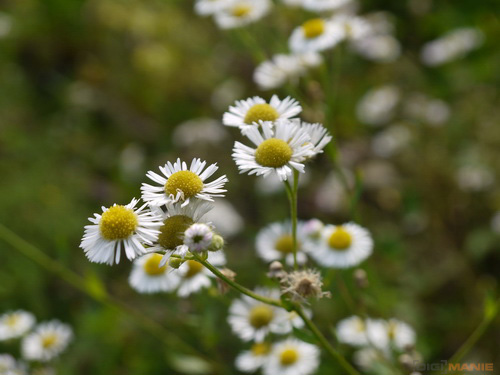 Panasonic Lumix G2: král ergonomie