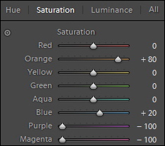 Objevte svět infrafotografie