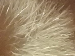 Sony Cyber-shot WX7: překoná skvělou WX5?