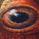 UMAX Premier 3306: Jednoduchý, ale pohledný premiér