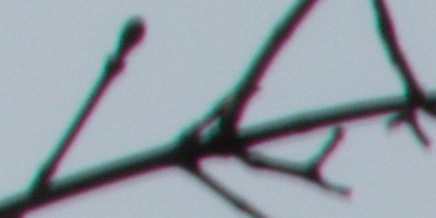 Nikon AF-S NIKKOR DX 55-300mm 1:4.5-5.6G ED VR