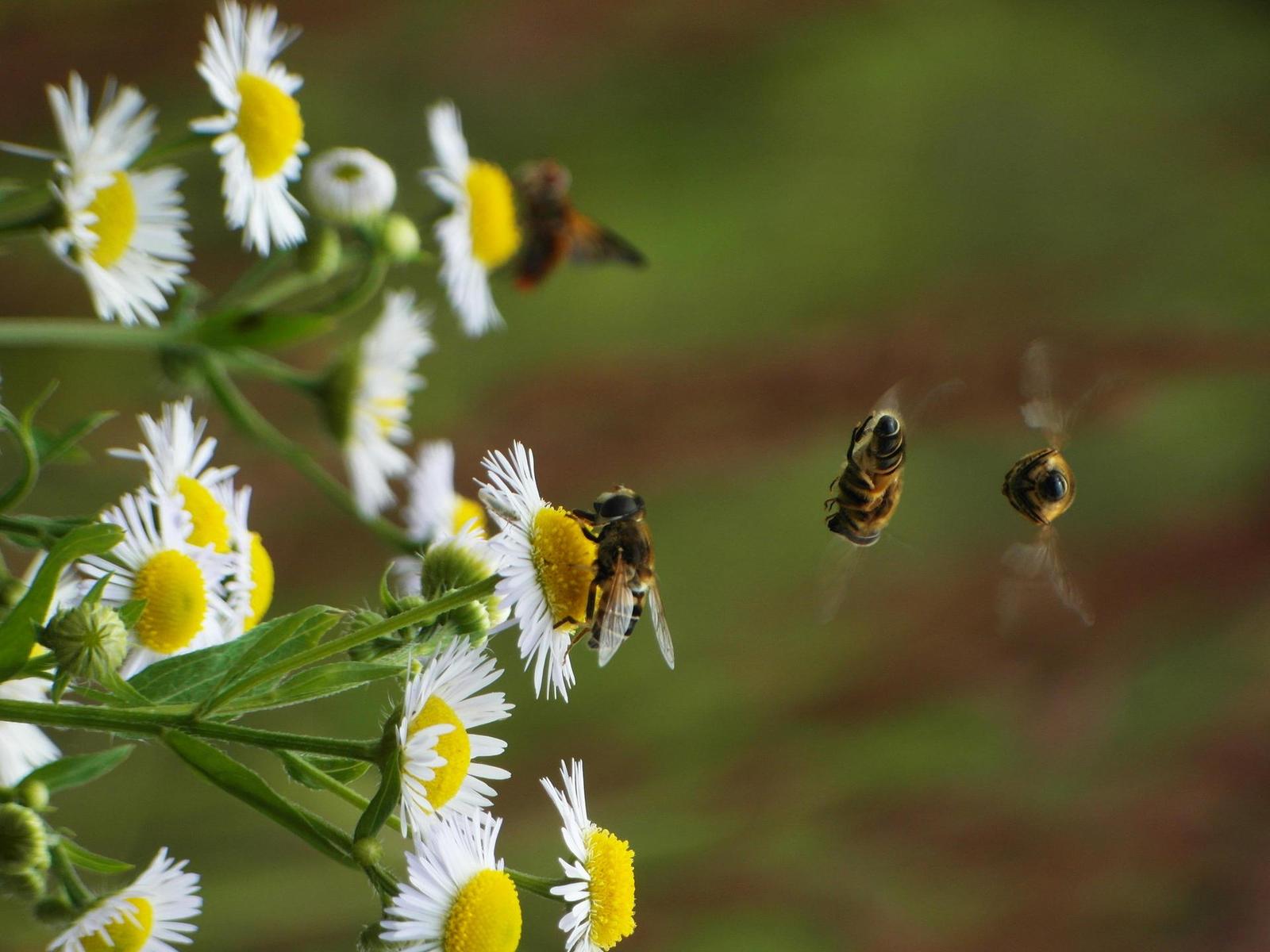 Samsung WB850F: fotící bezdrátová navigace?