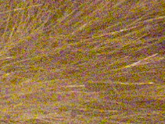 Olympus XZ-1: trefa do černého