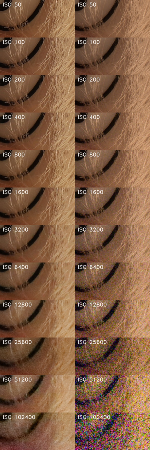 Canon EOS 6D Mark II: vylepšený full frame základ