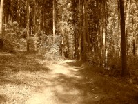 Konica Minolta Dimage E50 - pro každého něco...