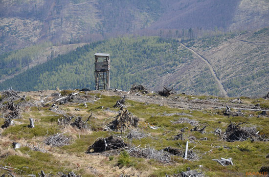 Nikon D5100: jeden z nejlepších?