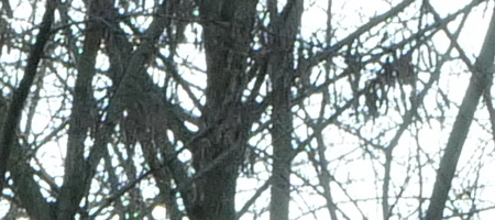 Panasonic Lumix S 85mm F1.8