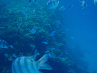 Modrý vesmír - tipy pro fotografování