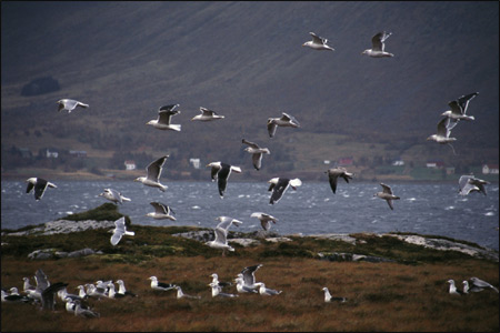 Pozvánka na výstavu fotografií z Norska a Islandu - Doteky Severu
