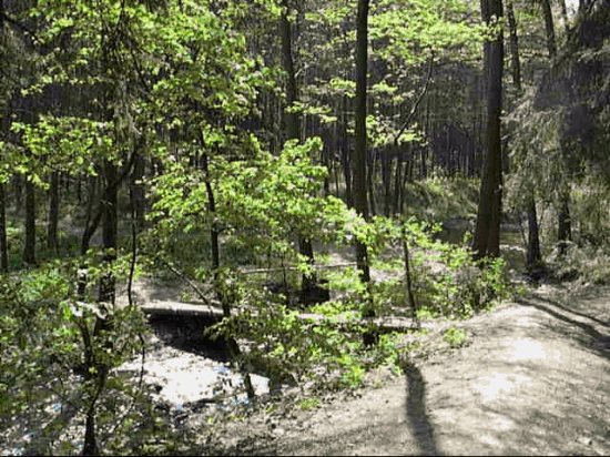 Konica Minolta Dimage E50 - pro každého něco...