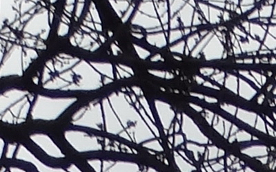 Sony Cyber-shot HX20V: umí snad všechno