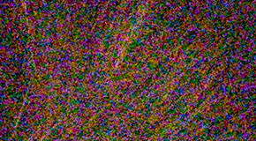 Nikon D3300: drobek se silným srdcem