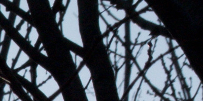 Nikon 1 NIKKOR 30-110mm 1:3,8-5,6 VR