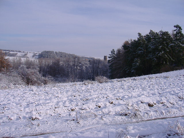 FujiFilm FinePix A345 - nenáročný pracant