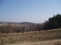 Olympus Camedia C-470 Zoom: Americký D-590