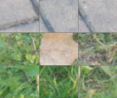 Panasonic Lumix FZ200: ultrazoomové překvapení roku