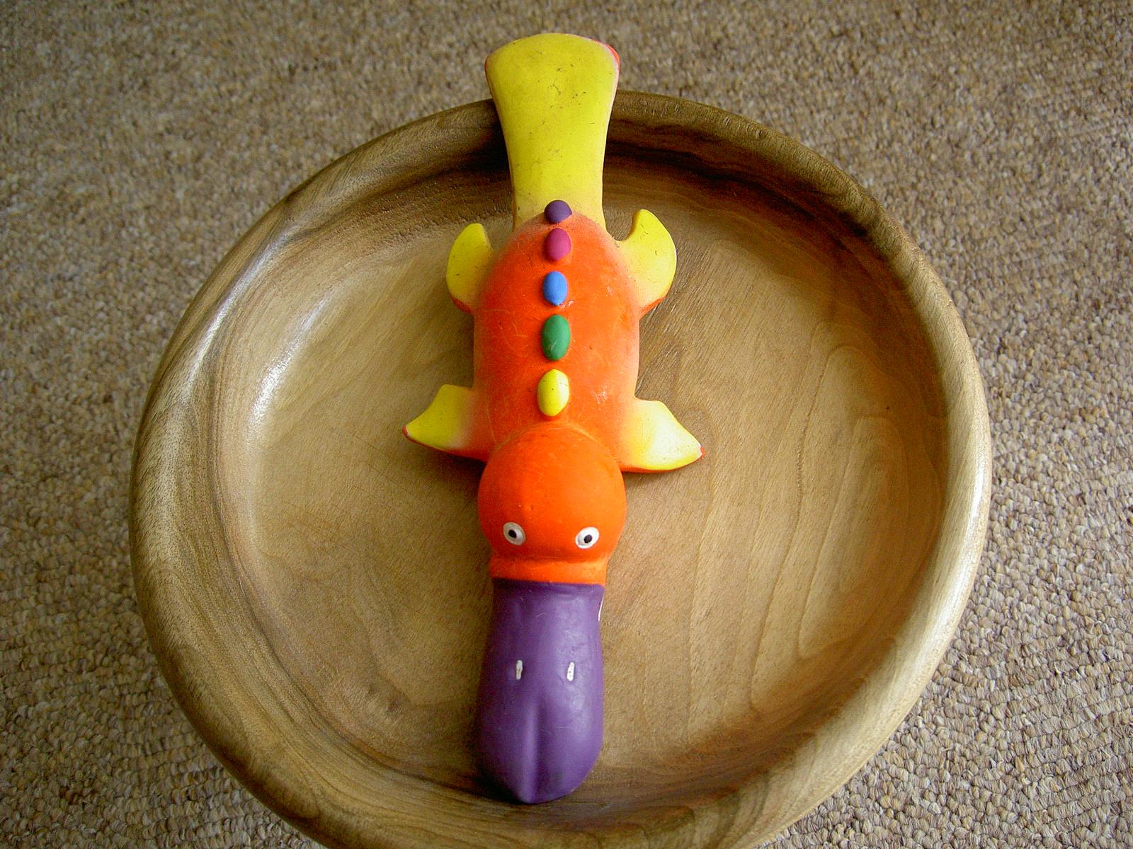 G500: rychlý pětimegapixel se dvěma sloty