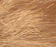 Canon PowerShot SX1 IS vs. SX10 IS: souboj CMOS a CCD