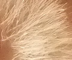 Fujifilm FinePix F300EXR: klame tělem