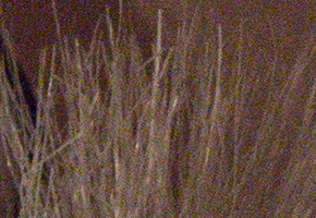 Samsung NX20: za více peněz více muziky