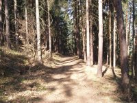 Olympus Camedia C-470 Zoom: Americký D-590