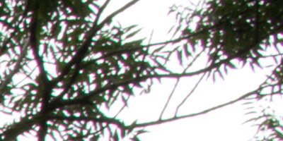 Canon EF-S 18-55mm F3,5-5,6 IS STM