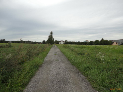 Sony Cyber-shot W350: šikovný prcek