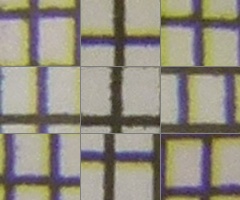 Panasonic Lumix FZ45 a FZ100: na vrcholu